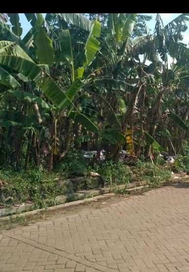 Tanah di Jual murah cepat