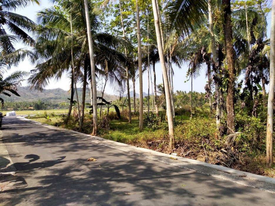 Tanah Pekarangan Murah Barat Bandara YIA