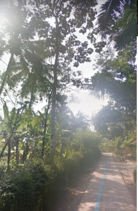 Tanah Cocok Untuk Homestay Dekat,