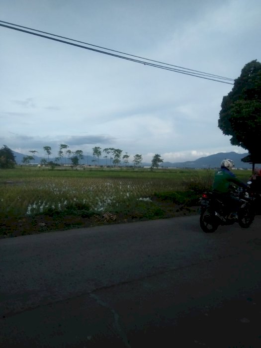 Tanah Sawah Lokasi pinggir jalan Sapan BuahBatu Luas 12.656 m2