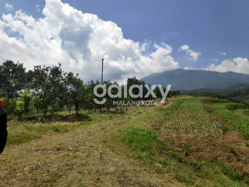 Tanah Dijual di Tawangargo Karangploso Malang