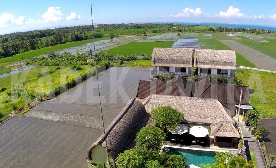 Villa kedungu tabanan view sawah dekat tanah lot