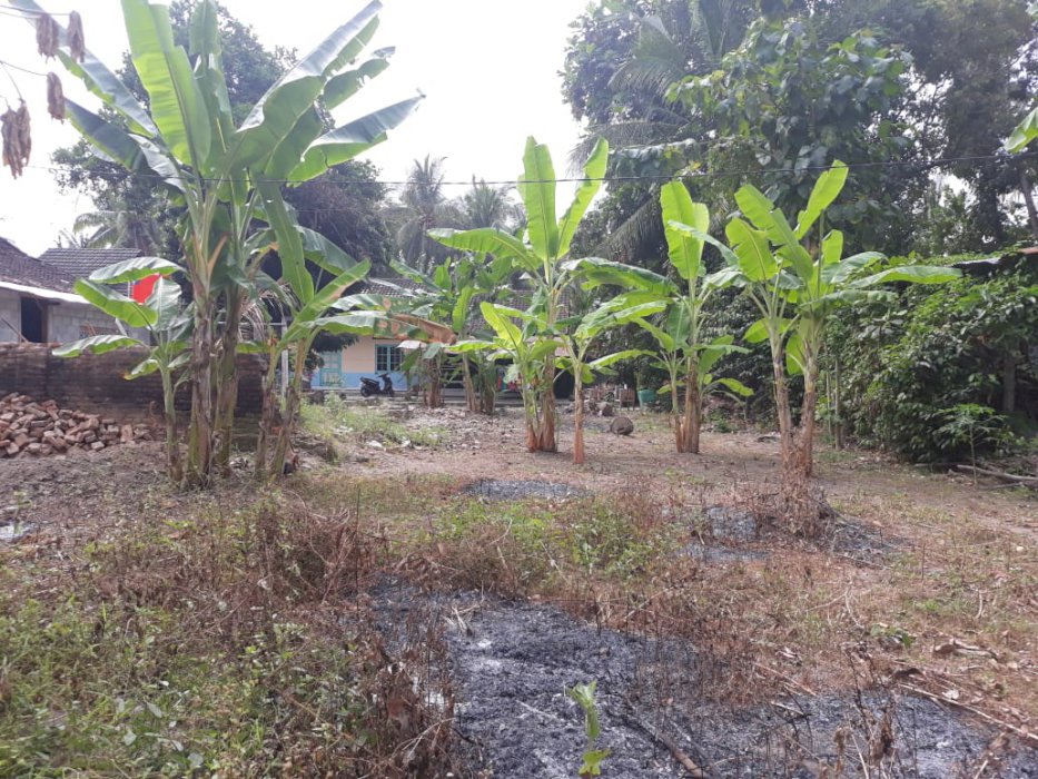 Di jual tanah seluas 404 M2 di desa gilangharjo jomboran pandak bantul