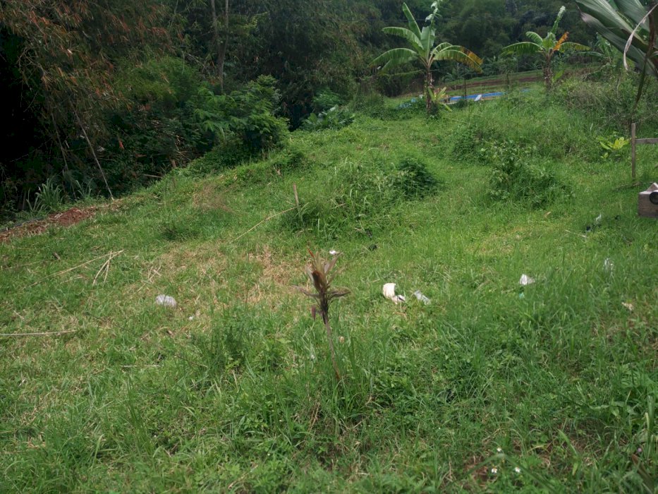 Jual tanah belakang unpad jatinangor