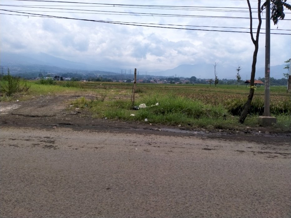 Jual tanah beserta kandangnya