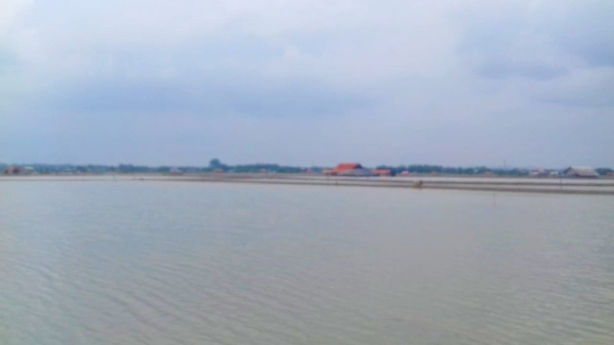 Dijual Tambak Ikan dan Garam Produktif di Polagan, Sampang, Jawa Timur