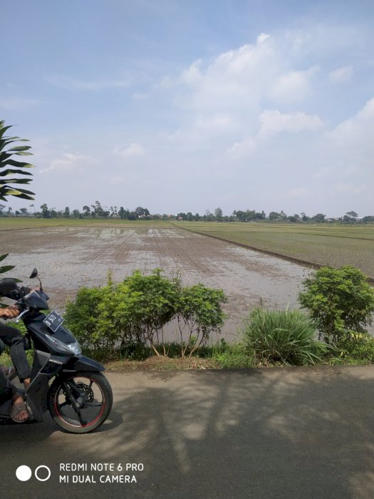 Tanah Sawah 6,8 Ha Cocok Untuk Perumahan Bebas Banjir