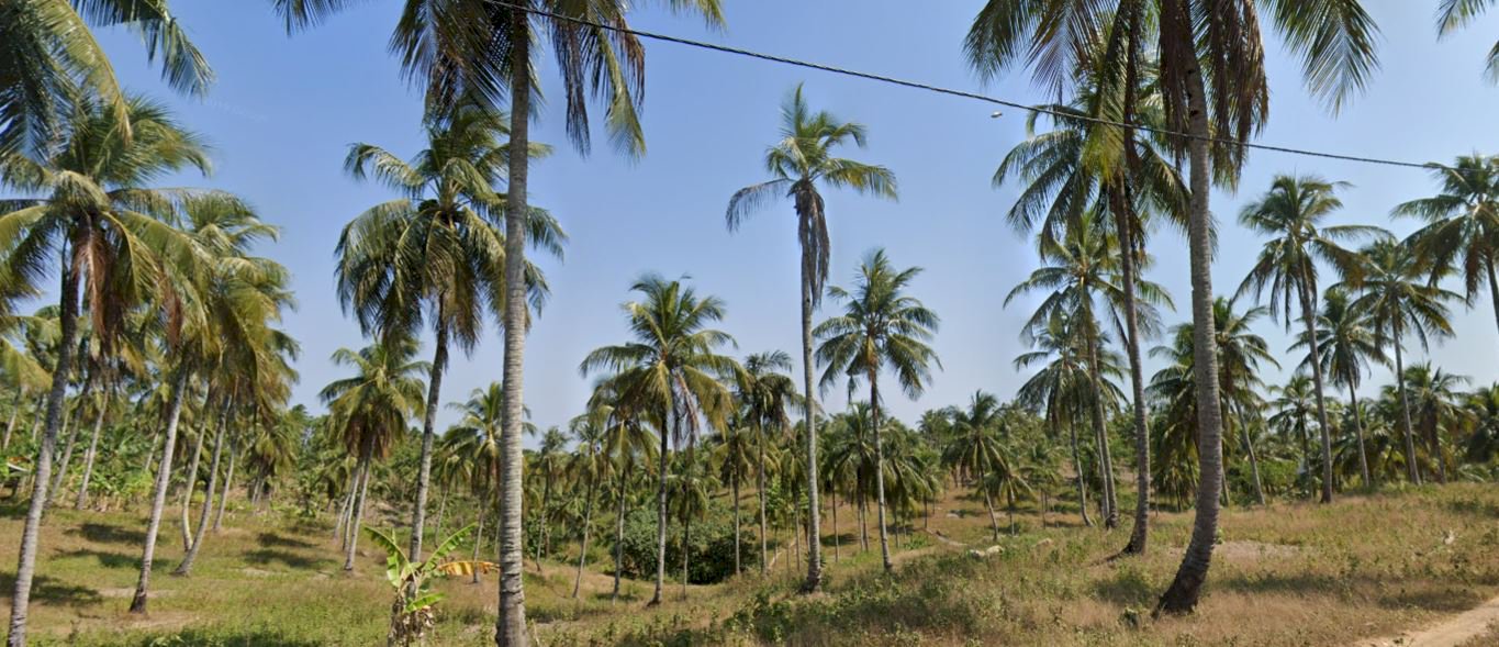 Tanah Dijual 5000 Hektar Di Bojongkaso, Cianjur