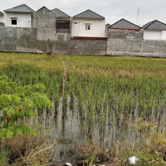 DIJUAL PROPERTI TANAH KOSONG SIAP BANGUN (SEDATI - SIDOARJO)