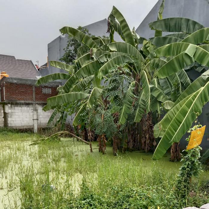 DIJUAL LAHAN KOSONG SIAP BANGUN (PERUM AL-IKHLAS / SEDATI - SIDOARJO)