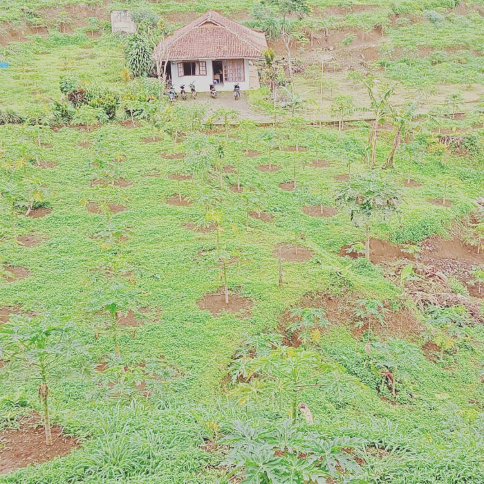 Jual Tanah Murah Puncak view gunung