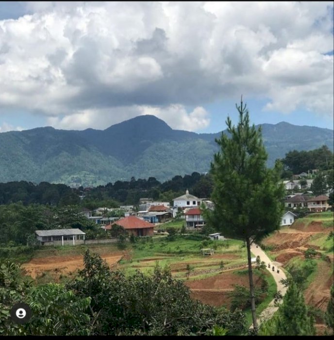 Jual tanah puncak murah