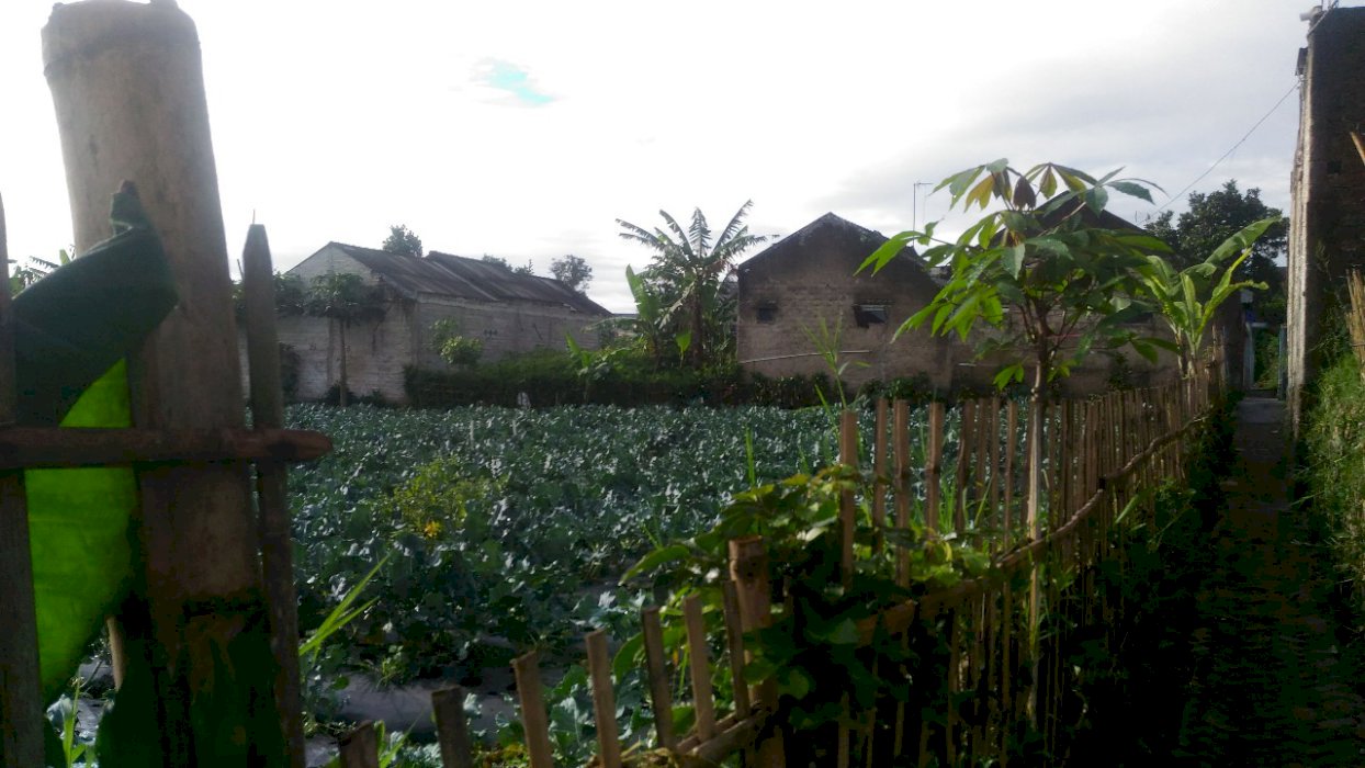 Tanah murah di sukamaju timur belakang sespim polri lembang  2475 m2