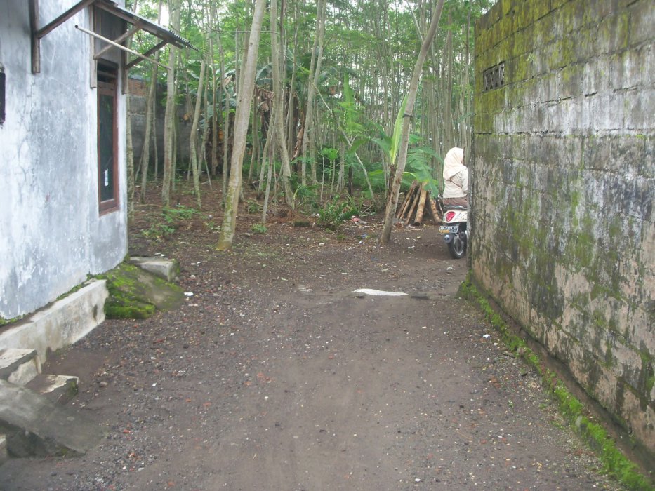 Dijual Tanah Pekarangan