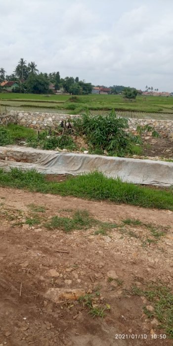 Dijual cepat tanah siang bangun