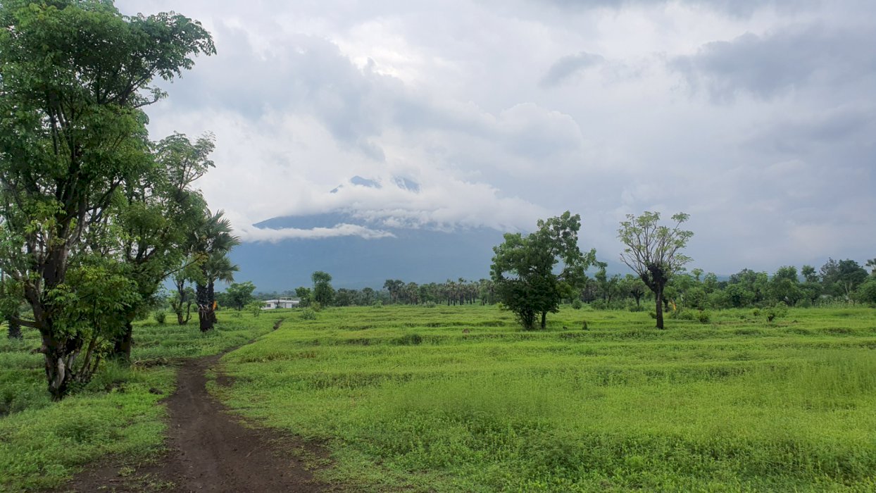 Dijual tanah luas di Bali cocok untuk investasi