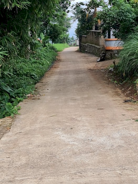 Tanah pinggir jalanTanah