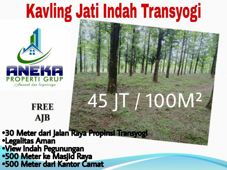 JUAL CEPAT KEBUN JATI EMAS USIA 10 THN