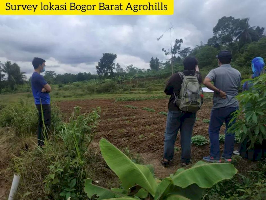 Jual Tahan Murah Bogor Barat