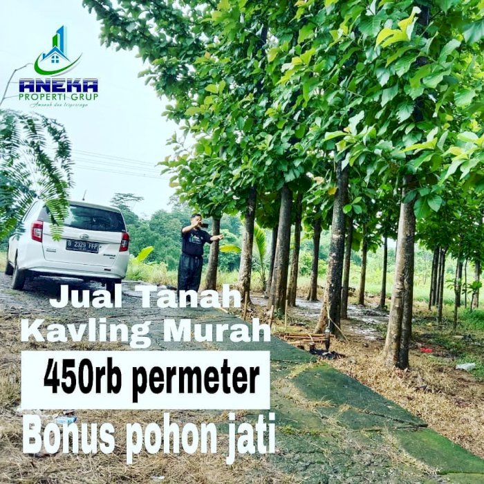Jual Kavling Serbaguna Pinggir Jalan RayaBonus Pohon Jati usia 10th