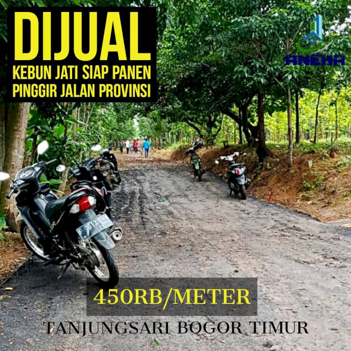 JUAL KEBUN JATI SIAP PANEN PINGGIR JALAN PROPINSI