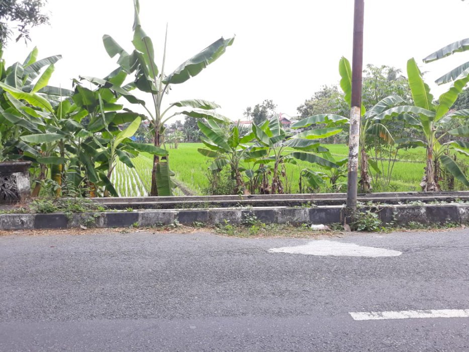 Tanah Jogja Ready KPT  Dekat Ambarukmo Plaza Mall