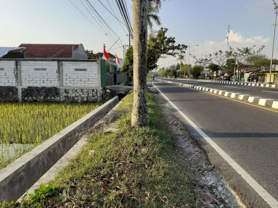 Tanah Sawah Istimewa Tepat di Utara Kampus UMY