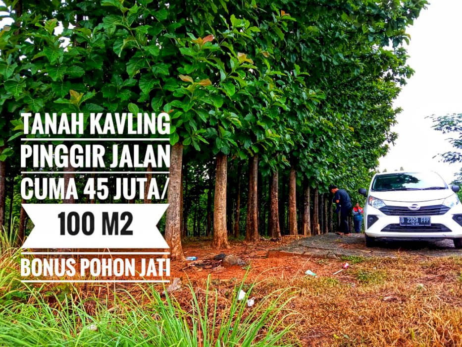TANAH MURAH DIJUAL PINGGIR JALAN PROPINSI BONUS POHON JATI EMAS