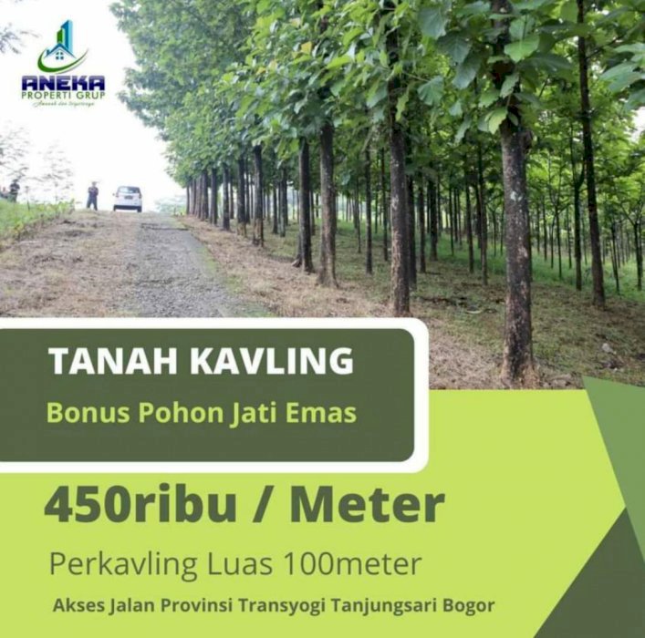 MILIKI TANAH KAVLING PINGGIR JALAN HARGA TERJANGKAU BONUS JATI EMAS