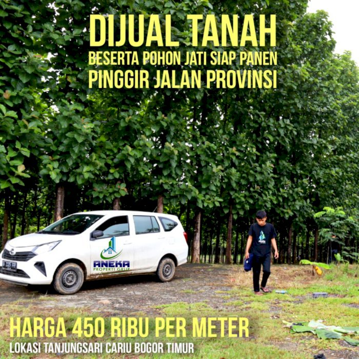 DIJUAL TANAH BESERTA POHON JATI SIAP PANEN PINGGIR JALAN BISA DIBANGUN