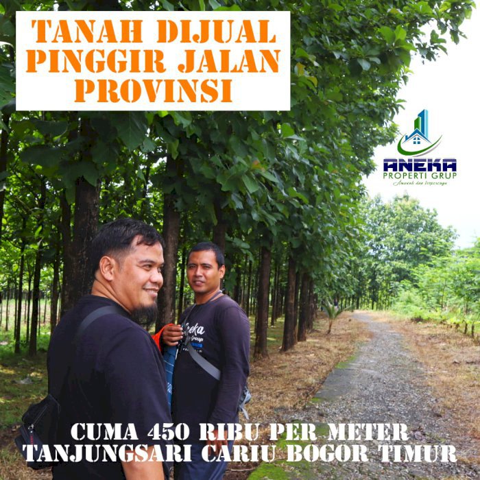 JUAL CEPAT TANAH PINGGIR JALAN BONUS POHON JATI BESAR SIAP PANEN