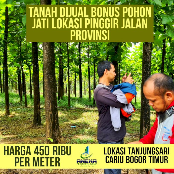 TANAH DIJUAL ADA POHON JATI HARGA TERJANGKAU LOKASI STRATEGIS