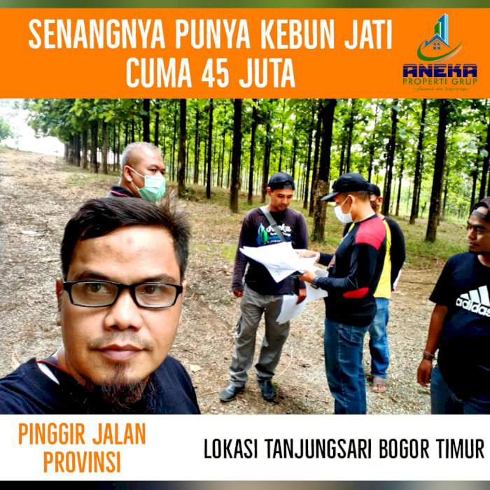 TANAH KAVLING PINGGIR JALAN UTAMA BONUS POHON JATI EMAS