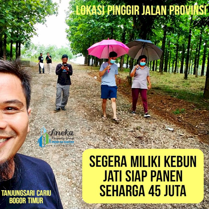 JUAL LAHAN KAVLING EKSLUSIF 30 M DARI JALAN RAYA BONUS POHON JATI