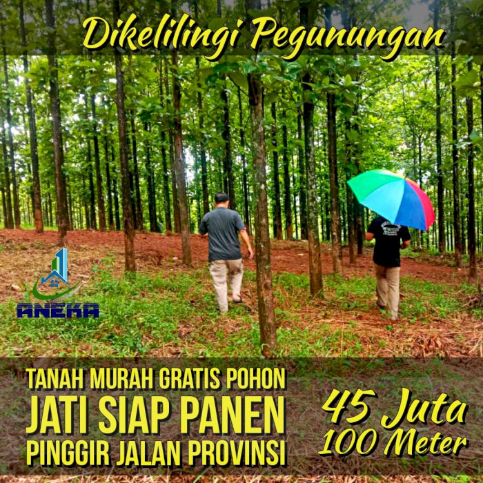 JUAL TANAH KAVLING JATI PINGGIR JALAN TRANSYOGI VIEW GUNUNG FREE JATI