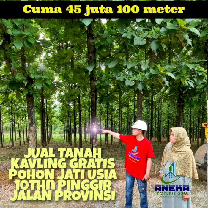 KAVLING JATI INDAH DIJUAL MURAH PINGGIR JALAN TRANSYOGI BONUSJATI EMAS