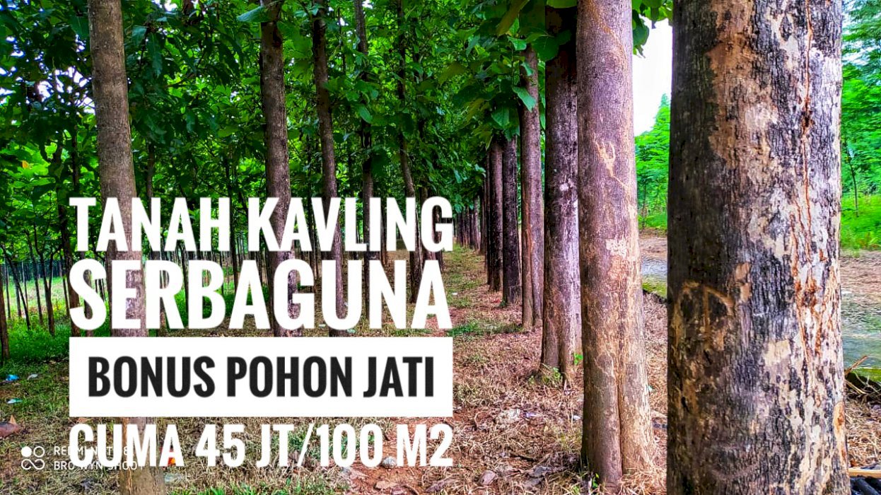 JUAL TANAH SERBAGUNA KAVLING JATI PINGGIR JALAN PROPINSI DIBOGOR TIMUR