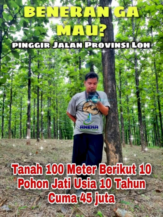 DIJUAL TANAH KAVLING SUDAH ADA POHON JATI VIEW PEGUNUNGAN