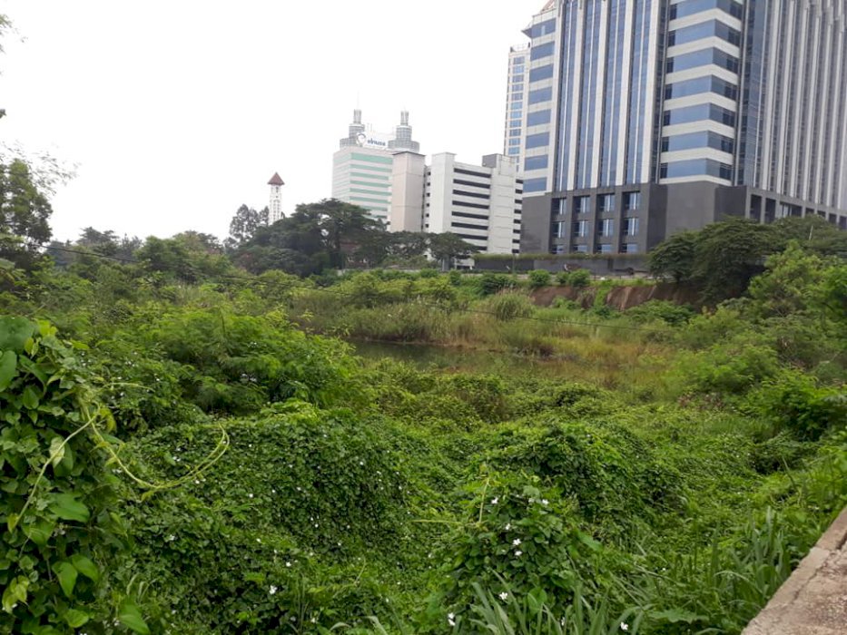 Tanah Kosong di Jl Raya TB Simatupang Jakarta Selatan Sebelah Gedung Prabu