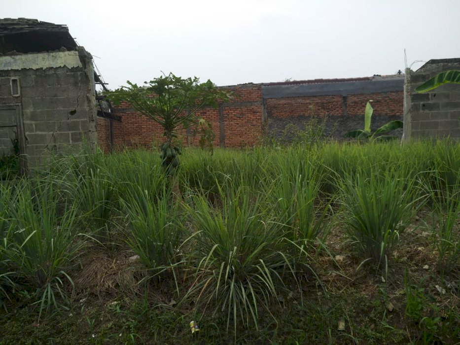 Dijual tanah kavling saja