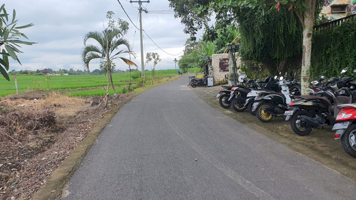 Di jual tanah 31are depan sahaja sawah resort pantai klecung tabanan .