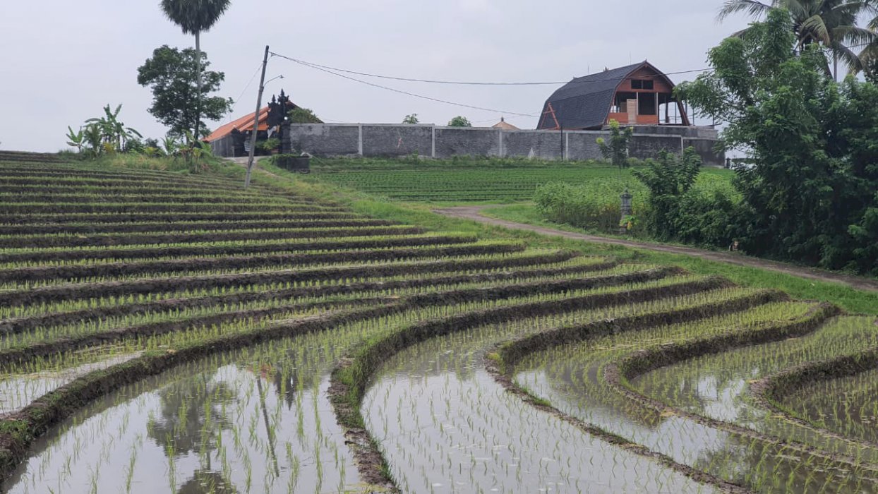 Di jual tanah River side ,kawasan villa dekat pantai ,tabanan