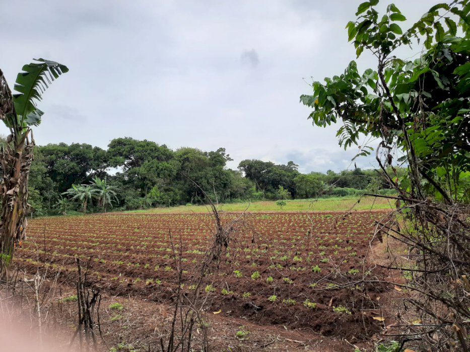 DIJUAL TANAH DI DAERAH CISAUK TANGERANG