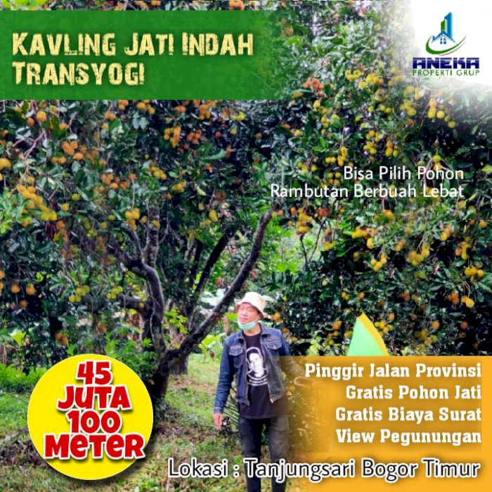 Jual tanah dekat jalan raya bonus pohon jati emas