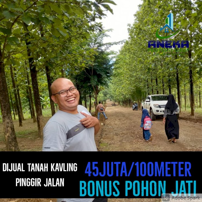 KAVLING KEBUN JATI PALING MURAH NEMPEL JALAN PROVINSI BISA DIBANGUN