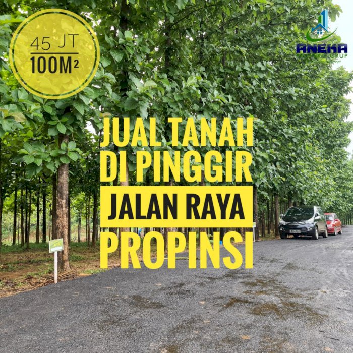 DIJUAL TANAH STRATEGIS AKSES MUDAH FREE POHON JATI TANJUNG SARI BOGOR
