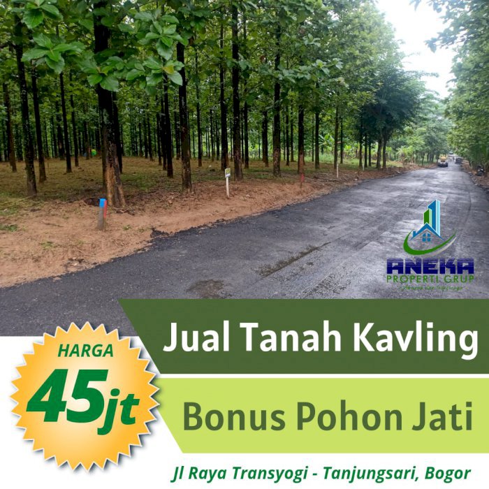 KAVLING SERBAGUNA PINTU GERBANG NEMPEL JALAN PROVINSI BONUS POHON JATI