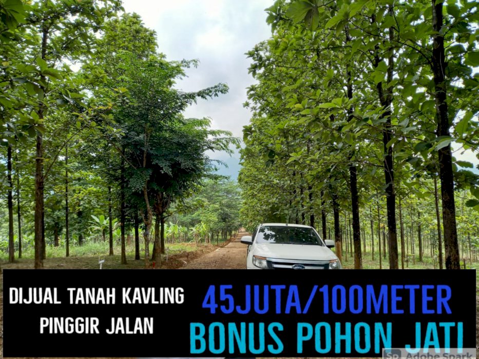 KAVLING SERBAGUNA PINGGIR JALAN PROVINSI GRATIS POHON JATI USIA 10 TH