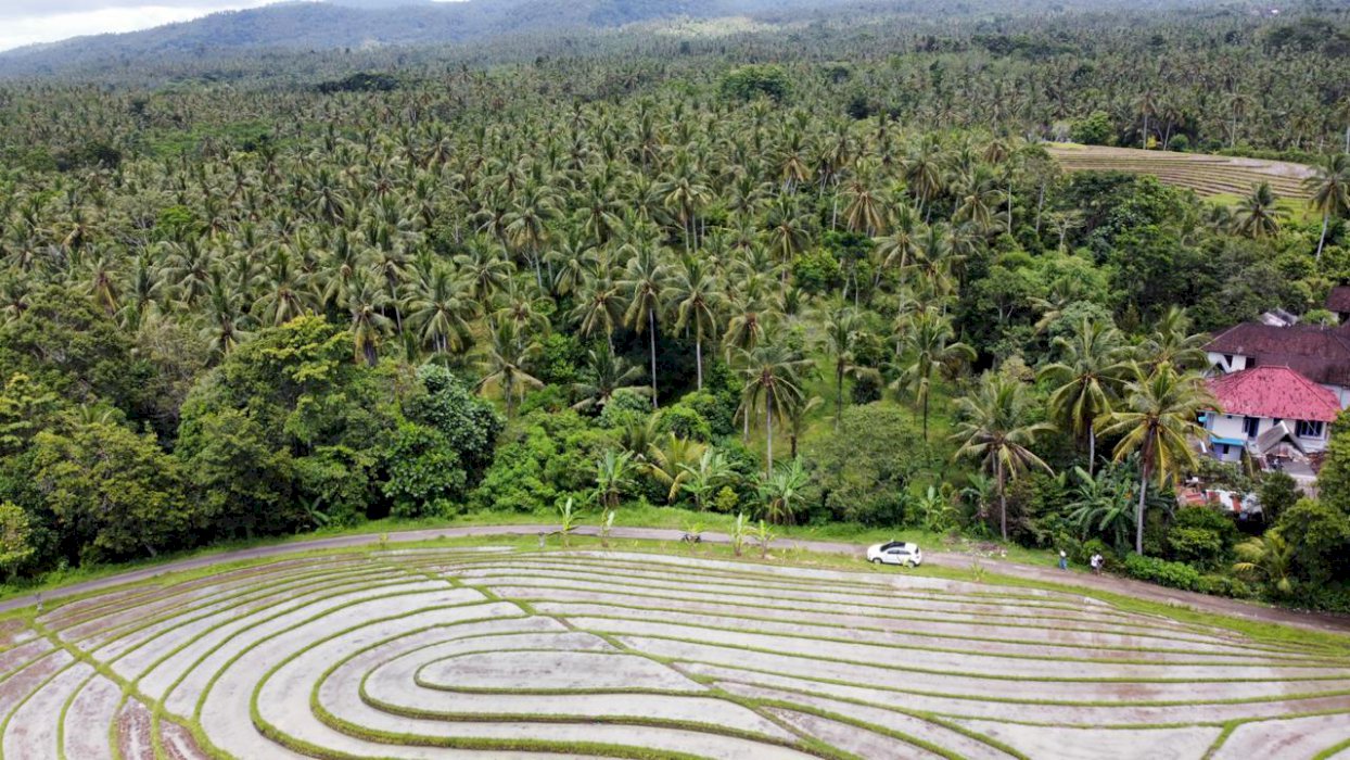 Dijual Tanah kebun sangat subur view sawah dekat pantai soka