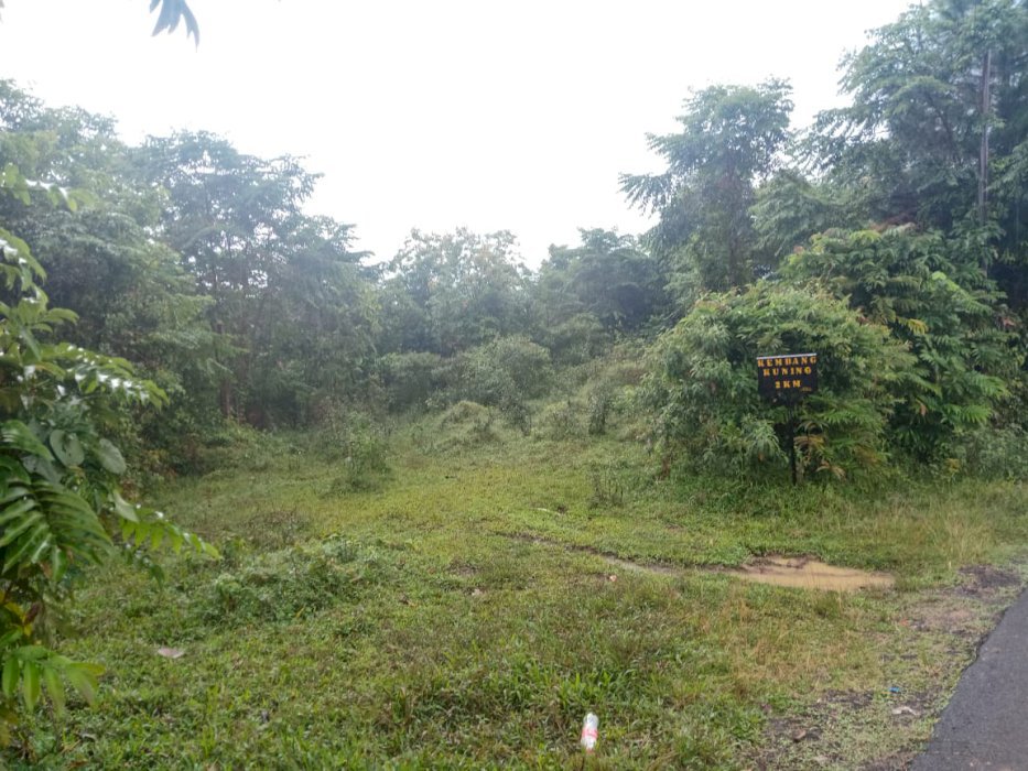 Dijual Cepat Tanah Murah Desa Jugala Jaya, Jasinga, Bogor